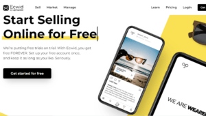 Ecwid Ecommerce No Code Builder