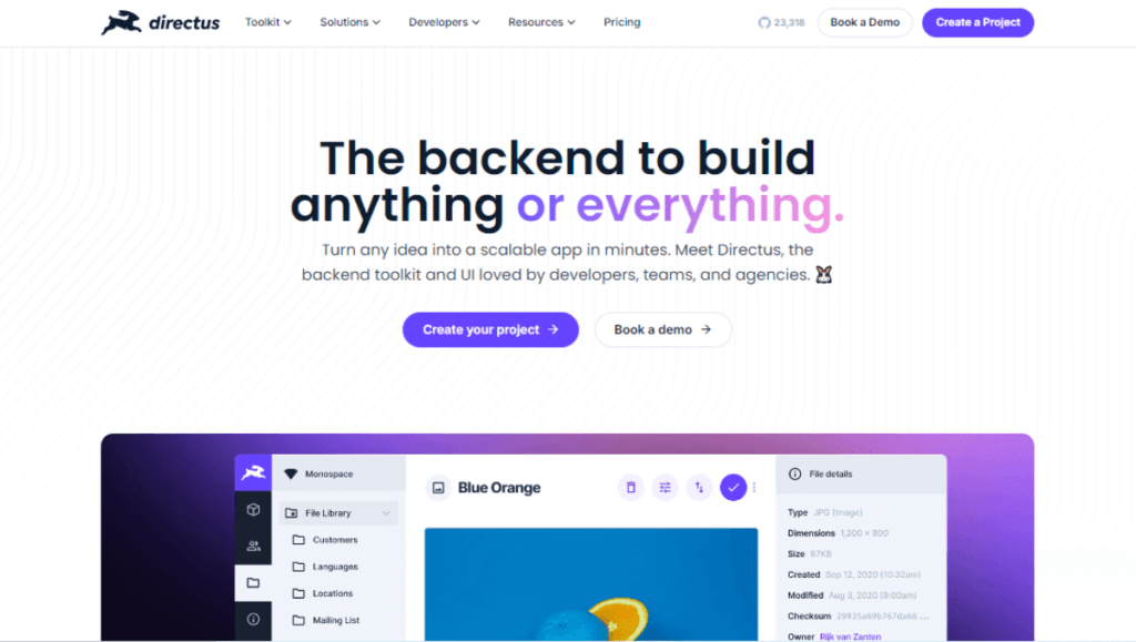 Directus no code backend