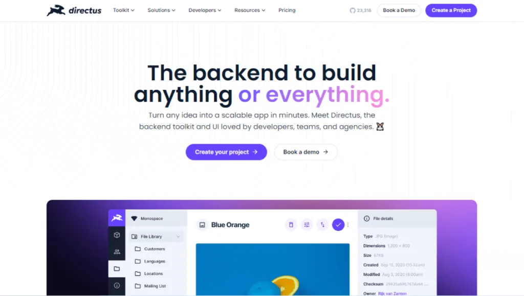 Directus no code backend